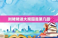 刘姥姥进大观园是第几回