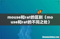 mouse和rat的不同之处 mouse和rat的区别