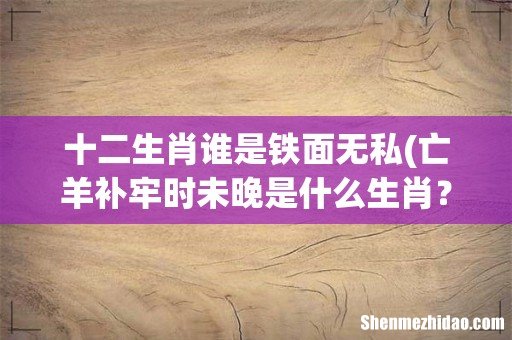 亡羊补牢时未晚是什么生肖？ 十二生肖谁是铁面无私