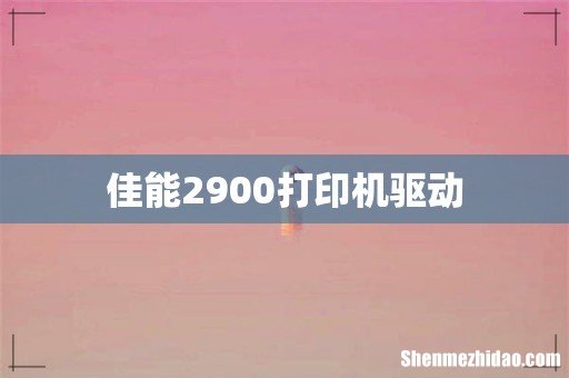 佳能2900打印机驱动
