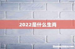 2022是什么生肖