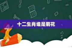 十二生肖谁是菊花