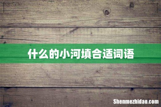 什么的小河填合适词语