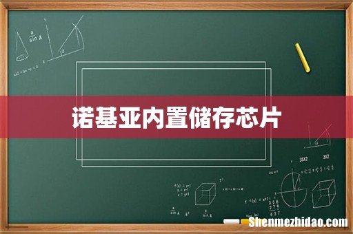 诺基亚内置储存芯片