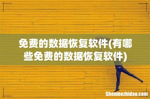 有哪些免费的数据恢复软件 免费的数据恢复软件