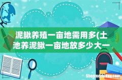 土池养泥鳅一亩地放多少大一点的苗？一斤50尾左右。 泥鳅养殖一亩地需用多