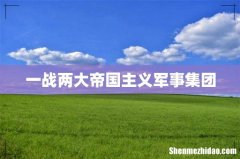 一战两大帝国主义军事集团
