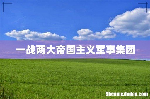 一战两大帝国主义军事集团