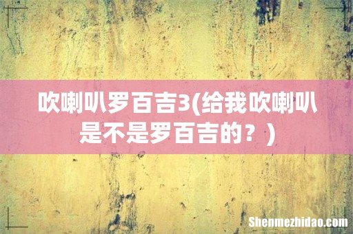 给我吹喇叭是不是罗百吉的? 吹喇叭罗百吉3