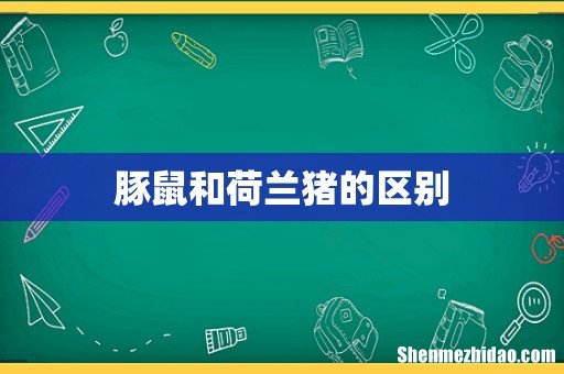 豚鼠和荷兰猪的区别