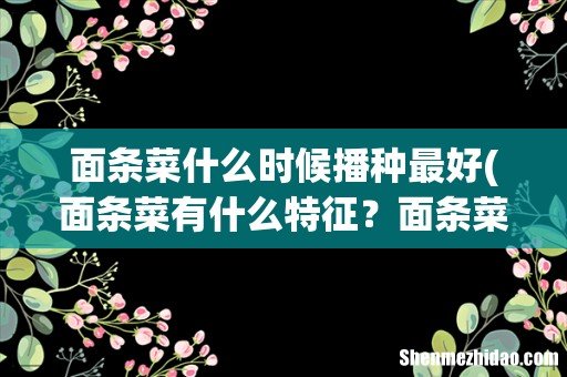 面条菜有什么特征?面条菜适合在哪里种植? 面条菜什么时候播种最好