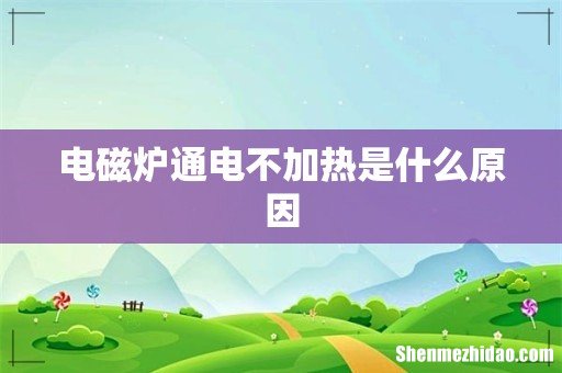 电磁炉通电不加热是什么原因