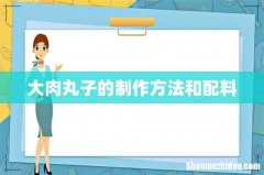 大肉丸子的制作方法和配料