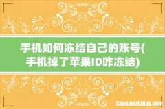 手机掉了苹果ID咋冻结 手机如何冻结自己的账号