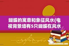 电视背景墙有5只蝴蝶在风水上有什么说道吗 蝴蝶的寓意和象征风水