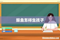 鲸鱼怎样生孩子