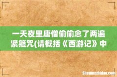 请概括《西游记》中“真假美猴王”故事的主要情节。 一天夜里唐僧偷偷念了两遍紧箍咒