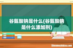 谷氨酸钠是什么添加剂 谷氨酸钠是什么