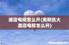 奥斯凯大酒店电视怎么开 酒店电视怎么开