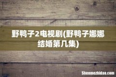 野鸭子娜娜结婚第几集 野鸭子2电视剧