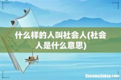 社会人是什么意思 什么样的人叫社会人
