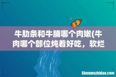 牛肉哪个部位炖着好吃，软烂入味？ 牛肋条和牛腩哪个肉嫩