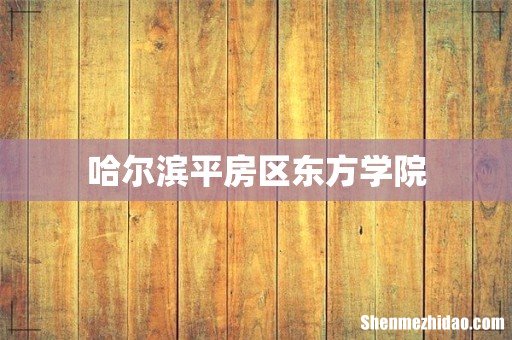 哈尔滨平房区东方学院