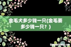 金毛要多少钱一只？ 金毛犬多少钱一只