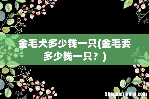 金毛要多少钱一只? 金毛犬多少钱一只