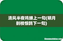 明月别枝惊鹊下一句 清风半夜鸣蝉上一句