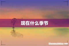 现在什么季节