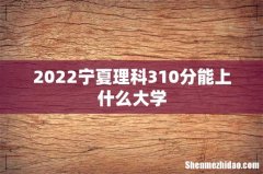 2022宁夏理科310分能上什么大学