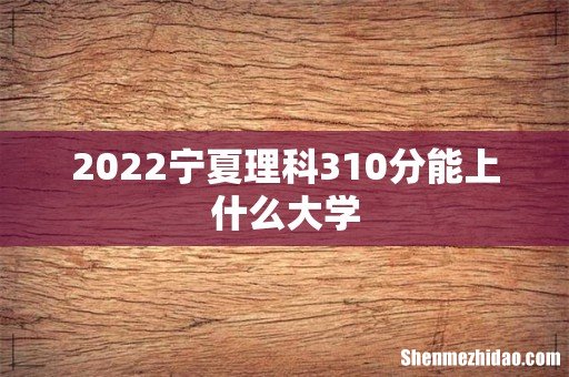 2022宁夏理科310分能上什么大学