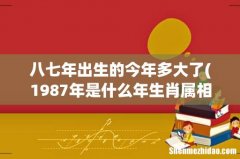 1987年是什么年生肖属相，87年属什么生肖,有多少岁了 八七年出生的今年多大了