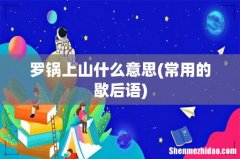 常用的歇后语 罗锅上山什么意思