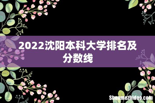 2022沈阳本科大学排名及分数线