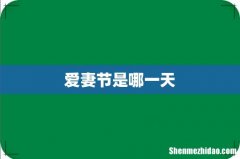 爱妻节是哪一天