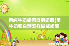 用牛奶和白醋怎样做成奶酪 如何用牛奶和白醋制作奶酪 用纯牛奶如何自制奶酪