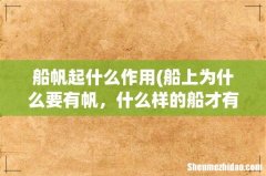 船上为什么要有帆，什么样的船才有帆 船帆起什么作用