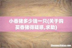 关于购买香猪得疑惑,求助 小香猪多少钱一只