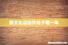 新文化运动开始于哪一年