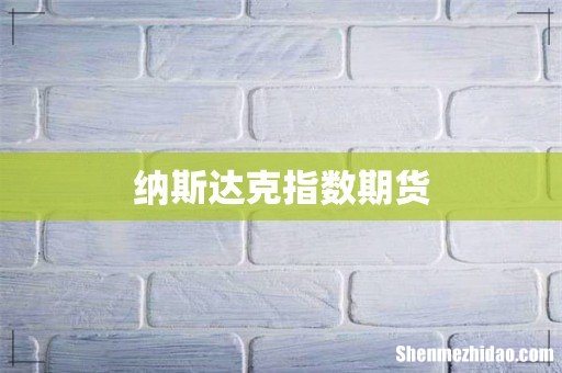 纳斯达克指数期货