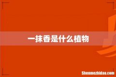 一抹香是什么植物