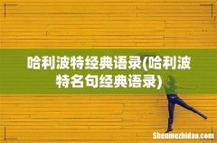 哈利波特名句经典语录 哈利波特经典语录