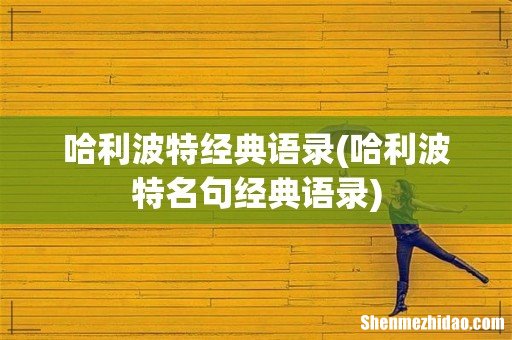 哈利波特名句经典语录 哈利波特经典语录