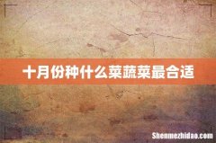 十月份种什么菜蔬菜最合适