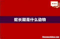 蛇长腿是什么动物