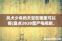 盘点2020国产电视剧，【在线观看】免费百度云资源 风犬少年的天空在哪里可以看