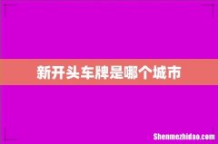 新开头车牌是哪个城市