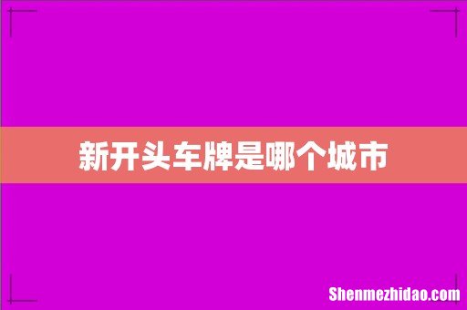 新开头车牌是哪个城市